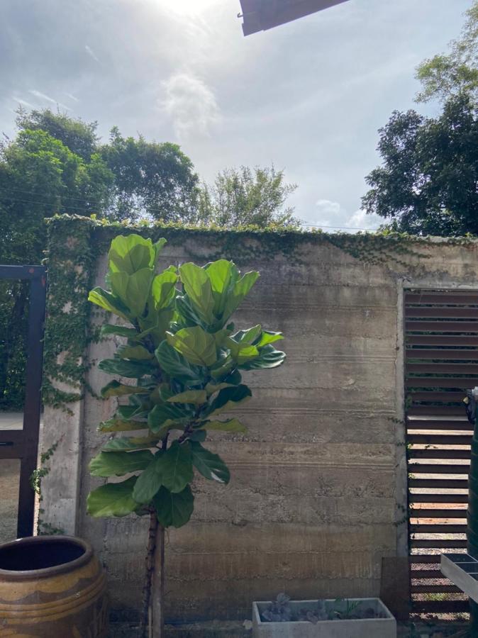Forest Guesthouse Ban Don Muang  Exterior photo